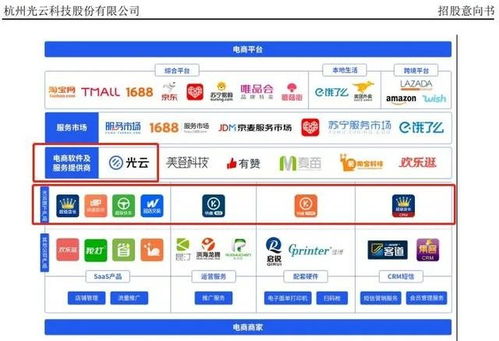 從“阿里系光環”到“全域賽道” SaaS第一股光云科技如何打破成長天花板？